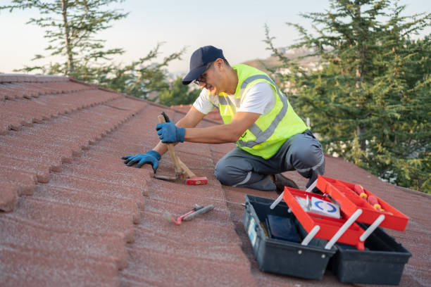 Roof Gutter Cleaning in Batavia, NY